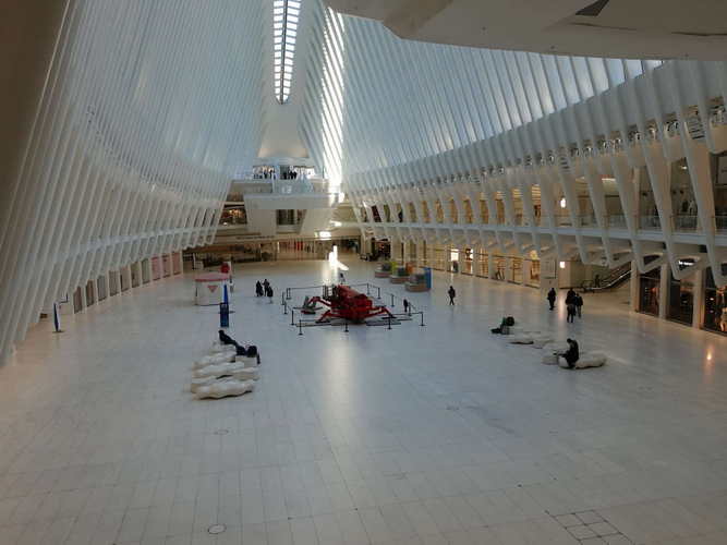 NYC_2024-02-04 09-04-41_RX_07182